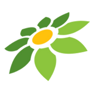 LINK 4DSETAN